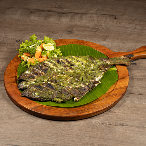 Dish Image